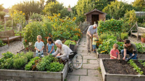 IMMAGINE IDEALE DI ORTO SOCIALE